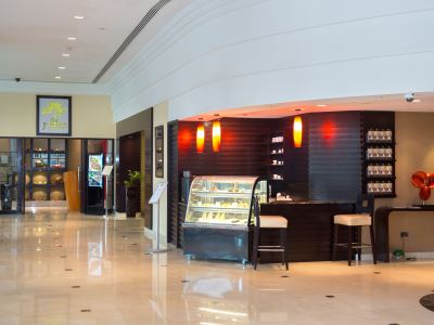 lobby 1 - hotel ramada plaza by wyndham dubai deira - dubai, united arab emirates