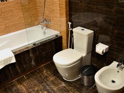 bathroom - hotel blaire executive suites - manama, bahrain