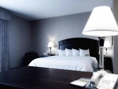 bedroom - hotel hampton inn edmonton int'l airport - leduc, canada