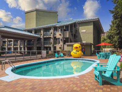 outdoor pool - hotel accent inn kelowna - kelowna, canada