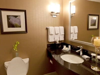 bathroom - hotel hilton garden inn toronto/brampton - brampton, canada
