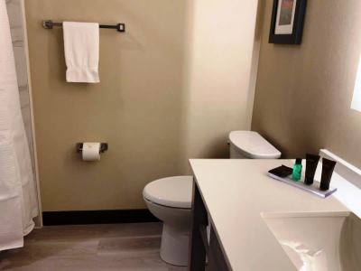 bathroom - hotel wingate by wyndham kanata west ottawa - kanata, canada