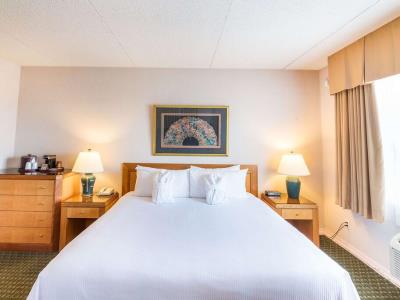 bedroom - hotel ramada by wyndham thunder bay airlane - thunder bay, canada