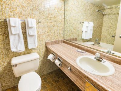 bathroom - hotel ramada by wyndham thunder bay airlane - thunder bay, canada