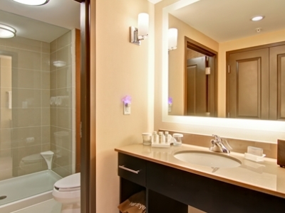 bathroom - hotel homewood suites waterloo/st. jacobs - waterloo, canada