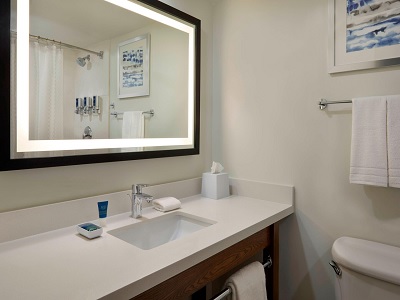 bathroom - hotel four points by sheraton toronto airport - mississauga, canada