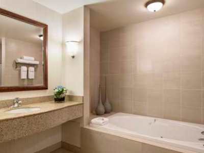 bathroom 1 - hotel hilton garden inn west edmonton - edmonton, canada