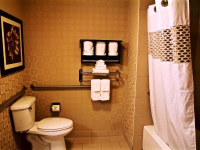 bathroom - hotel hampton inn and suites edmonton west - edmonton, canada