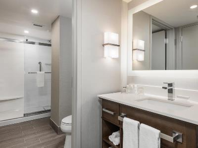 bathroom - hotel homewood suites ottawa downtown - ottawa, canada