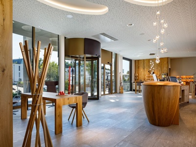 lobby - hotel allegra lodge - zurich, switzerland