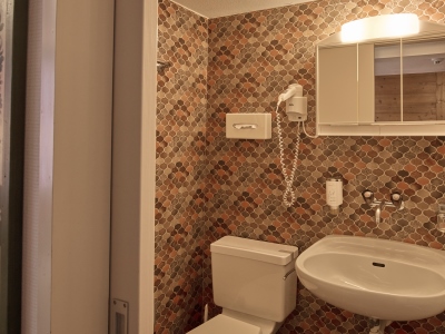 bathroom - hotel baeren - wilderswil, switzerland
