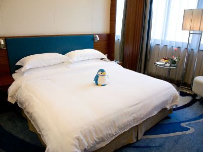 standard bedroom - hotel ocean - guangzhou, china