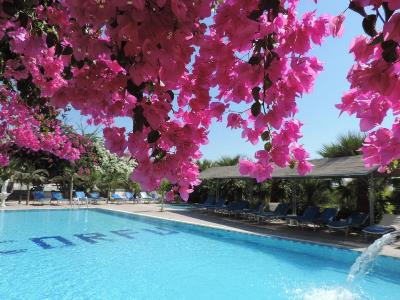 outdoor pool - hotel corfu - ayia napa, cyprus