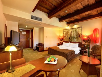 bedroom 3 - hotel lindner prague castle - prague, czech republic