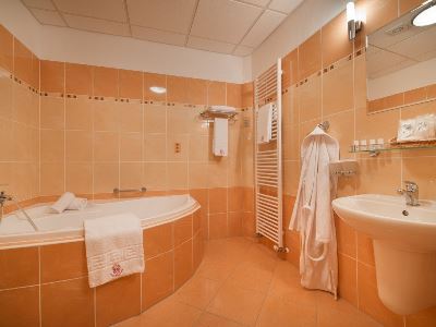 bathroom 1 - hotel podhrad - hluboka nad vltavou, czech republic