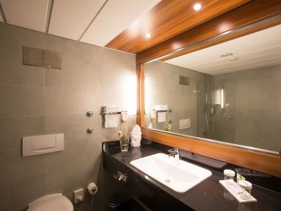 bathroom - hotel lindner frankfurt hochst - frankfurt, germany