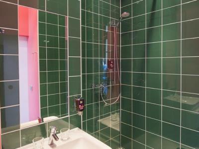 bathroom - hotel ibis styles frankfurt city - frankfurt, germany