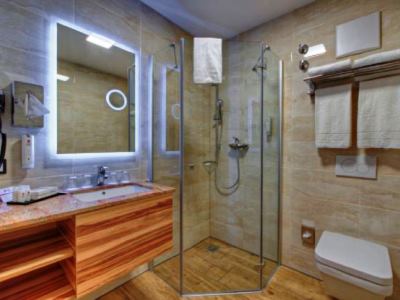 bathroom - hotel best western plus hotel fussen - fussen, germany
