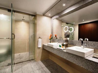 bathroom 1 - hotel hilton colon quito - quito, ecuador