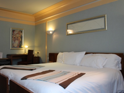 bedroom 5 - hotel art-deco euralille - lille, france