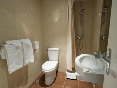 bathroom - hotel astoria vatican - lourdes, france