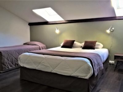 bedroom 3 - hotel des cedres - orleans, france