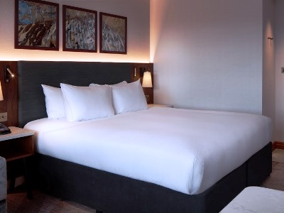 bedroom 4 - hotel hilton belfast - belfast-n.irl, united kingdom