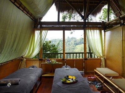 spa - hotel kupu kupu barong villas - bali island, indonesia