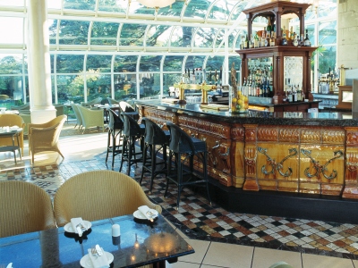 bar - hotel radisson blu st helen's - dublin, ireland