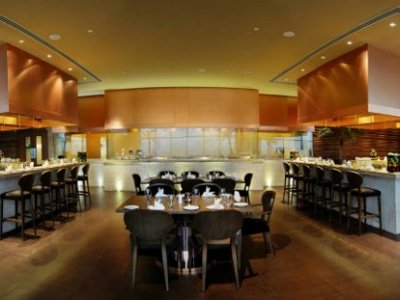 restaurant - hotel radisson blu paschim vihar - new delhi, india