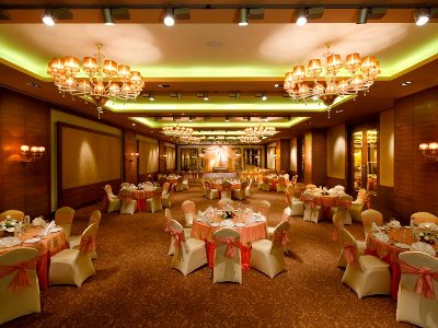 conference room 2 - hotel radisson blu paschim vihar - new delhi, india