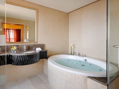 bathroom - hotel petra marriott - petra, jordan