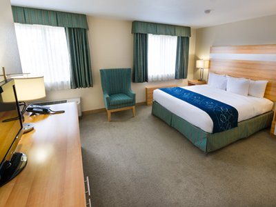 bedroom 2 - hotel hampton by hilton grand cayman - grand cayman, cayman islands