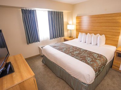bedroom 3 - hotel hampton by hilton grand cayman - grand cayman, cayman islands
