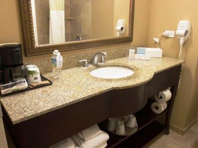 bathroom - hotel hampton inn by hilton ciudad juarez - ciudad juarez, mexico