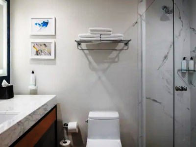 bathroom - hotel hilton garden inn cancun airport - cancun, mexico