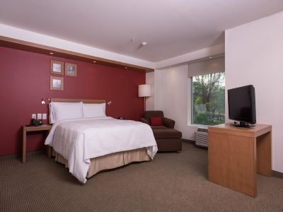 junior suite - hotel hampton inn by hilton guadalajara/expo - guadalajara, mexico