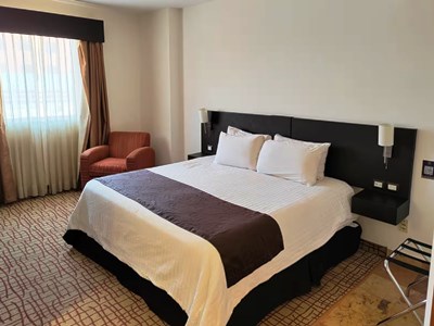 bedroom 1 - hotel wyndham garden torreon tecnologico - torreon, mexico