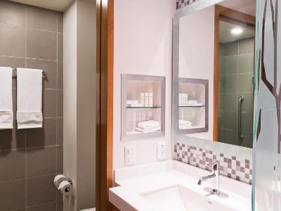 bathroom - hotel hampton inn and suites by hilton paraiso - paraiso, mexico