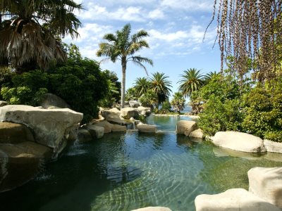 outdoor pool - hotel copthorne hotel n resort bay of islands - paihia, new zealand