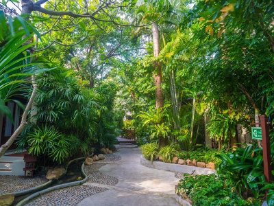 gardens - hotel baan haad ngam boutique resort - koh samui island, thailand