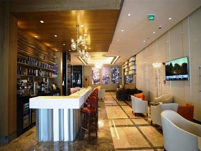 bar - hotel tryp by wyndham istanbul basin ekspres - istanbul, turkey