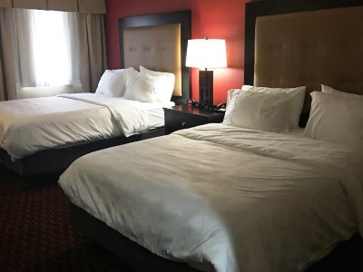 bedroom 1 - hotel wyndham garden dover - dover, delaware, united states of america