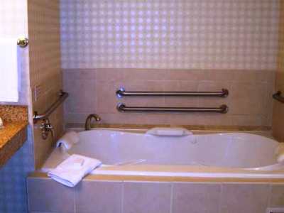bathroom - hotel hilton garden inn - dover, delaware, united states of america