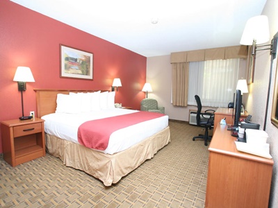bedroom - hotel baymont by wyndham springfield - springfield, illinois, united states of america