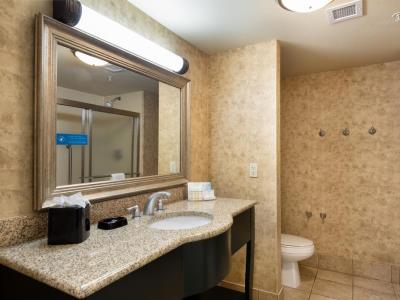 bathroom - hotel hampton inn baton rouge i-10 east - baton rouge, united states of america