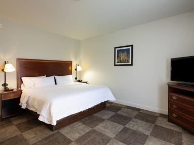 bedroom - hotel hampton inn baton rouge i-10 east - baton rouge, united states of america