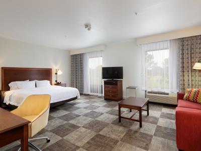 bedroom 3 - hotel hampton inn baton rouge i-10 east - baton rouge, united states of america