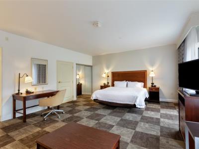 bedroom 4 - hotel hampton inn baton rouge i-10 east - baton rouge, united states of america
