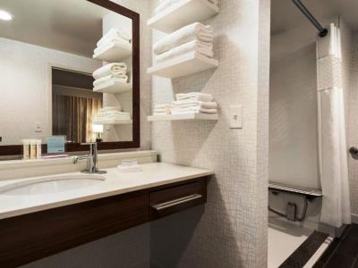 bathroom - hotel hampton inn lincoln airport - lincoln, nebraska, united states of america